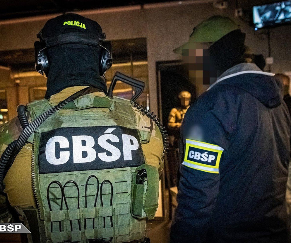 Mafia z Trójmiasta rozbita po latach. Miliony z prostytucji i pustych faktur 