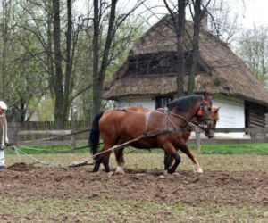 Muzeum Wsi Lubelskiej