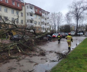 Interwencje Strażaków przy likwidacji szkód spowodowanych przez gwałtowny wiatr i burze