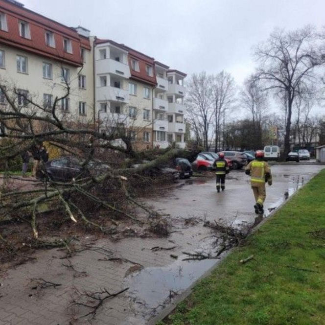 Interwencje Strażaków przy likwidacji szkód spowodowanych przez gwałtowny wiatr i burze