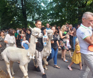 Święcenie zwierząt u św. Rocha 2026