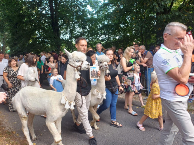 Święcenie zwierząt u św. Rocha 2026