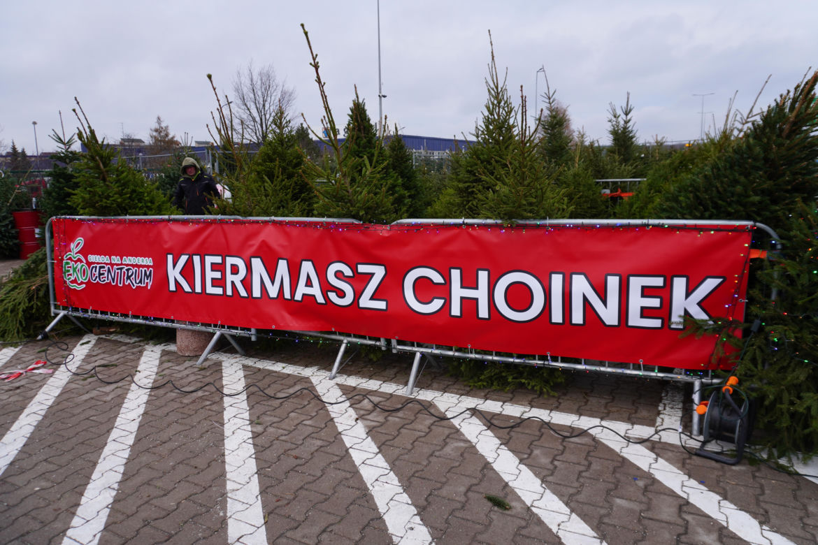Ceny choinek w Białymstoku. Ile zapłacimy za drzewko w Podlaskiem?
