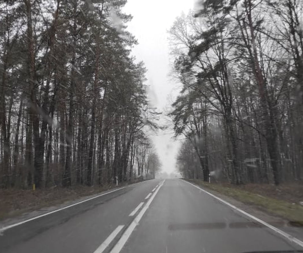 Pogodowy armagedon w woj. pomorskim. IMGW ostrzega