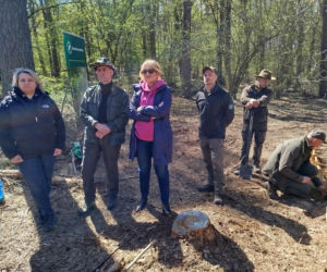 W Lesie Sekulskim rośnie już kilkaset nowych, młodych buków! Drzewa zasadzili członkowie siedleckiego samorządu i leśnicy