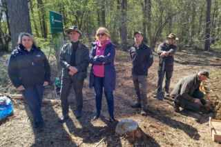 W Lesie Sekulskim rośnie już kilkaset nowych, młodych buków! Drzewa zasadzili członkowie siedleckiego samorządu i leśnicy