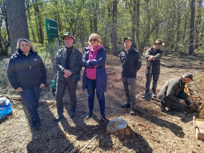 W Lesie Sekulskim rośnie już kilkaset nowych, młodych buków! Drzewa zasadzili członkowie siedleckiego samorządu i leśnicy