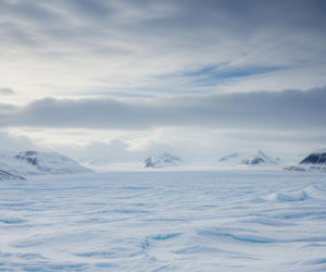 Trump chce kupić Grenlandię. Co prezydent USA mówił w Davos?