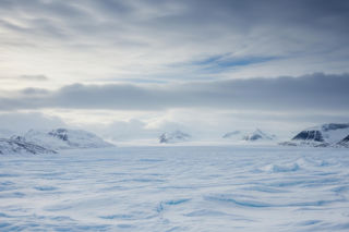 Trump chce kupić Grenlandię. Co prezydent USA mówił w Davos?