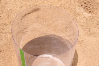 Królowa Przetrwania 3, odcinek 5