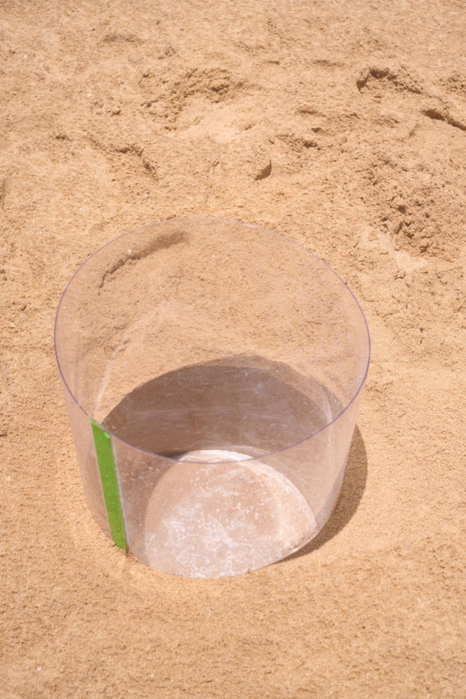 Królowa Przetrwania 3, odcinek 5