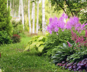 Tani ogród na wyciągnięcie ręki? Oto 15 pomysłów