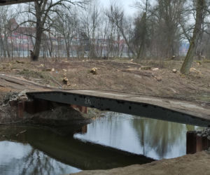 Skandal! Po co ta dewastacja? Wycięto mnóstwo starych drzew nad Wisłą