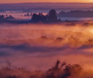 Cząstka Podlasia