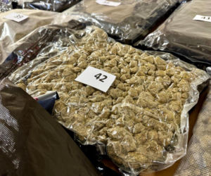 Wielki boss kiboli złapany na gorącym uczynku! Policjanci zabezpieczyli narkotyki warte 10 mln złotych!