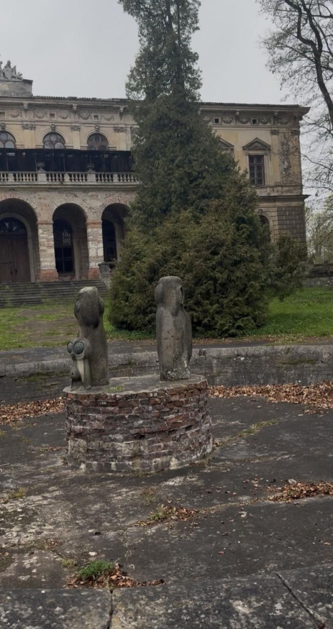 Sowy autorstwa Bronisława Chromego