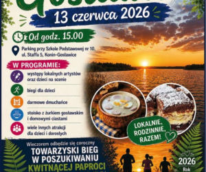 Nocny Bieg po Kwiat Paproci połączony z pierwszym festynem w Gosławicach