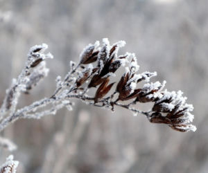 Śliskie chodniki? Nie zaniedbujcie obowiązku! 