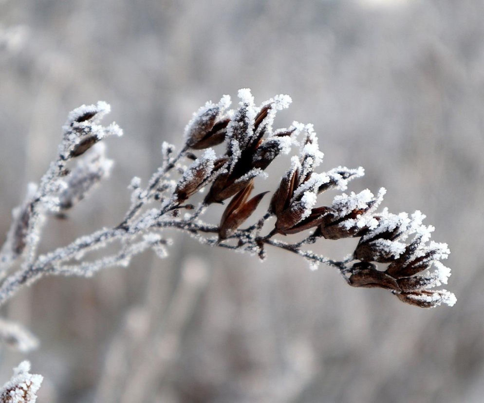Śliskie chodniki? Nie zaniedbujcie obowiązku! 