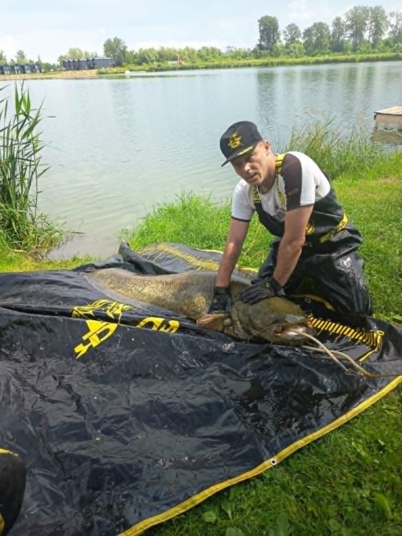 Złowił w Starym Sączu ponad 230 cm suma