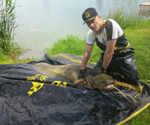 Złowił w Starym Sączu ponad 230 cm suma