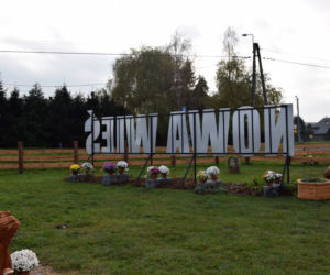Wyjątkowo kolorowa jesień w Gminie Iława. Wszędzie chryzantemny!