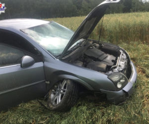 Unikneła zderzenia z sarną i wpadła w zboże