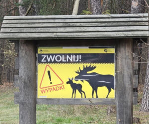 Rusza odcinkowy pomiar prędkości na popularnej „gilotynie”. „To efekt wieloletnich starań”