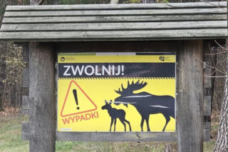 Rusza odcinkowy pomiar prędkości na popularnej „gilotynie”. „To efekt wieloletnich starań”