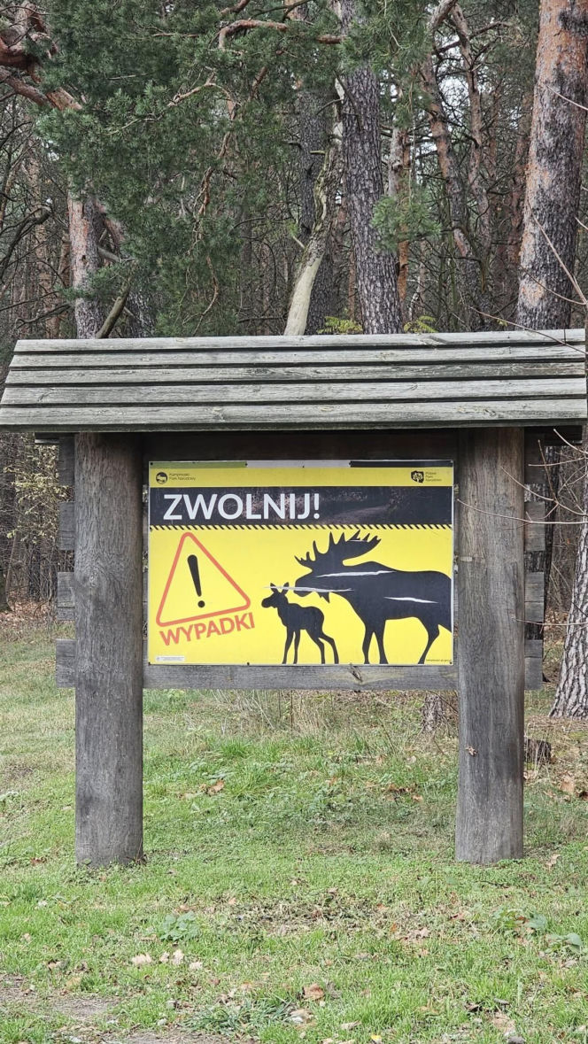 Rusza odcinkowy pomiar prędkości na popularnej „gilotynie”. „To efekt wieloletnich starań”