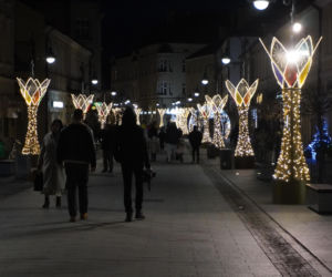 Świąteczne iluminacje rozświetliły Rzeszów