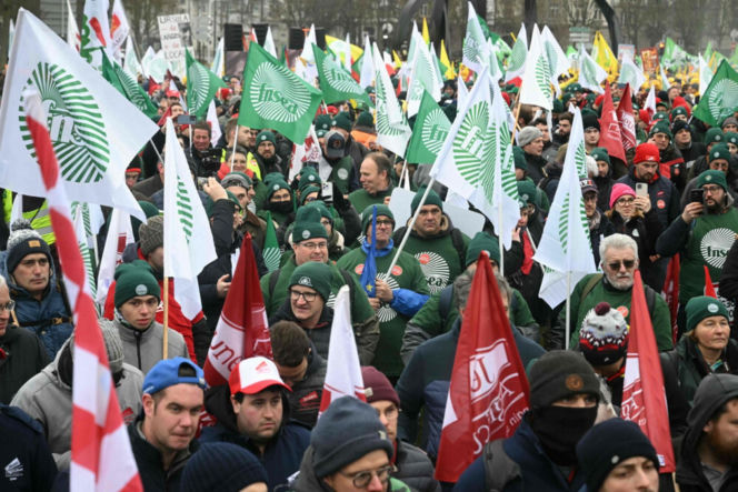 Wielkie protesty rolników w Europie! Zatrzymano Polaków