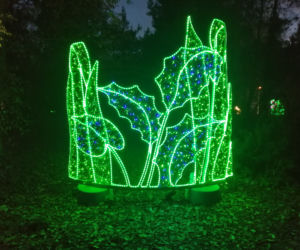Park Iluminacji w Poznaniu