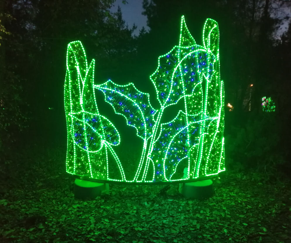 Park Iluminacji w Poznaniu