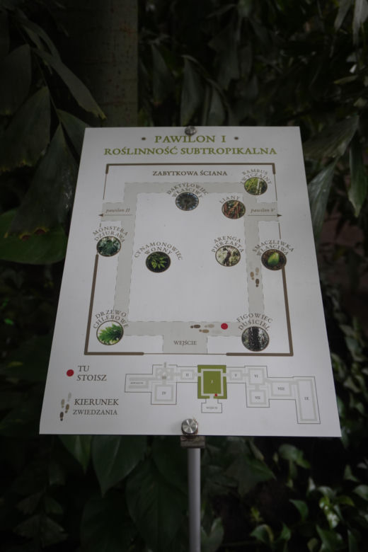 Palmiarnia w Poznaniu