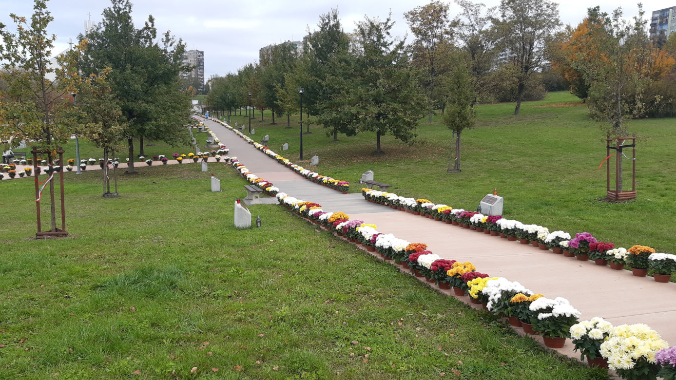 Dwa tysiące chryzantem ozdobiło park w Tarnowie