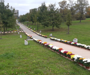 Dwa tysiące chryzantem ozdobiło park w Tarnowie
