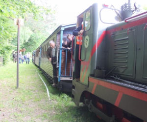 Niezwykła podróż przez puszczę. Kolejka w Białowieży wznowiła kursy! 