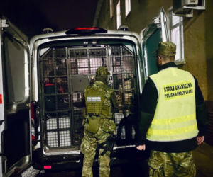 Litwin robił biznes na imigrantach. Wpadł 15 kilometrów od granicy z Niemcami