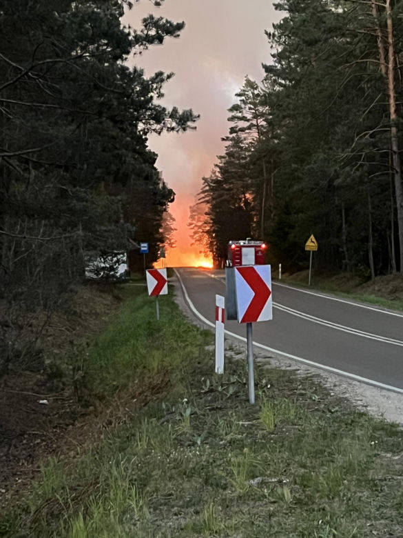 Ogromny pożar na Lubelszczyźnie! Płonie Puszcza Solska. Setki strażaków w akcji