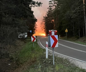 Ogromny pożar na Lubelszczyźnie! Płonie Puszcza Solska. Setki strażaków w akcji