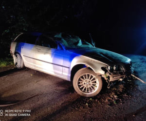 Podkarpackie. BMW wypadło z drogi [ZDJĘCIA]