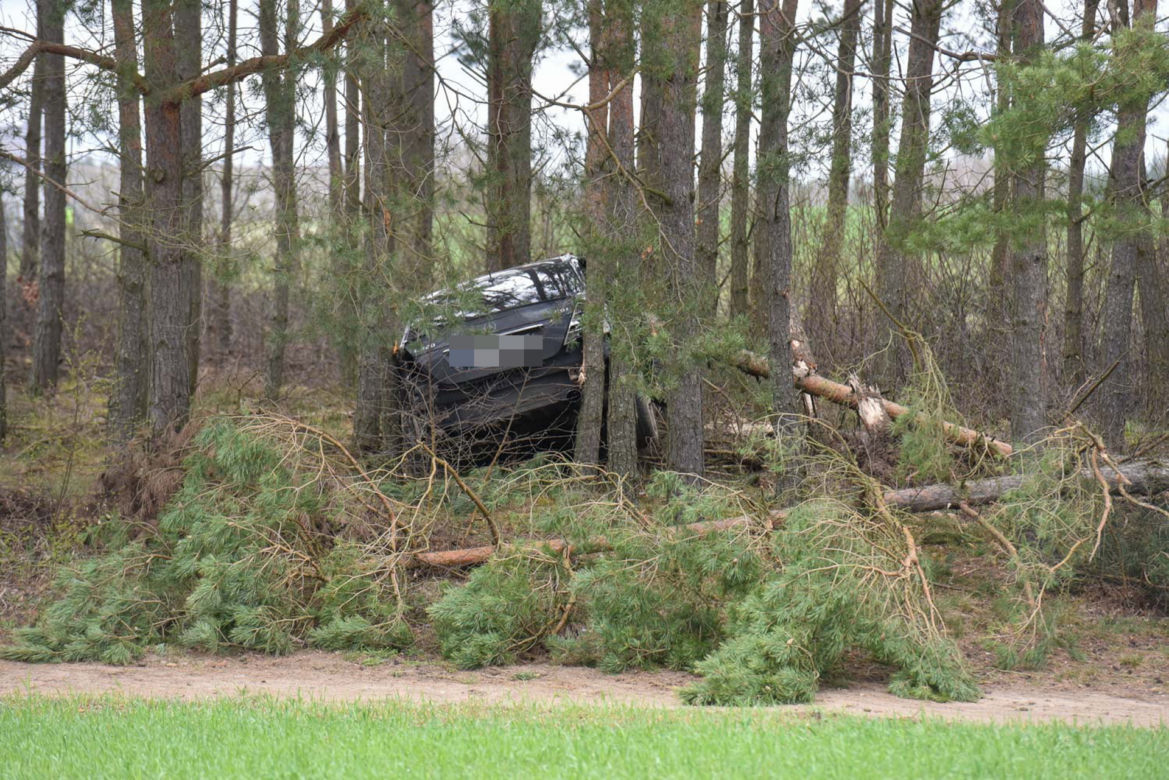 Zaorał kawałek pola i skosił kilka drzew Mercedesem. Policja poszukuje pracowitego kierowcy z gminy Cekcyn