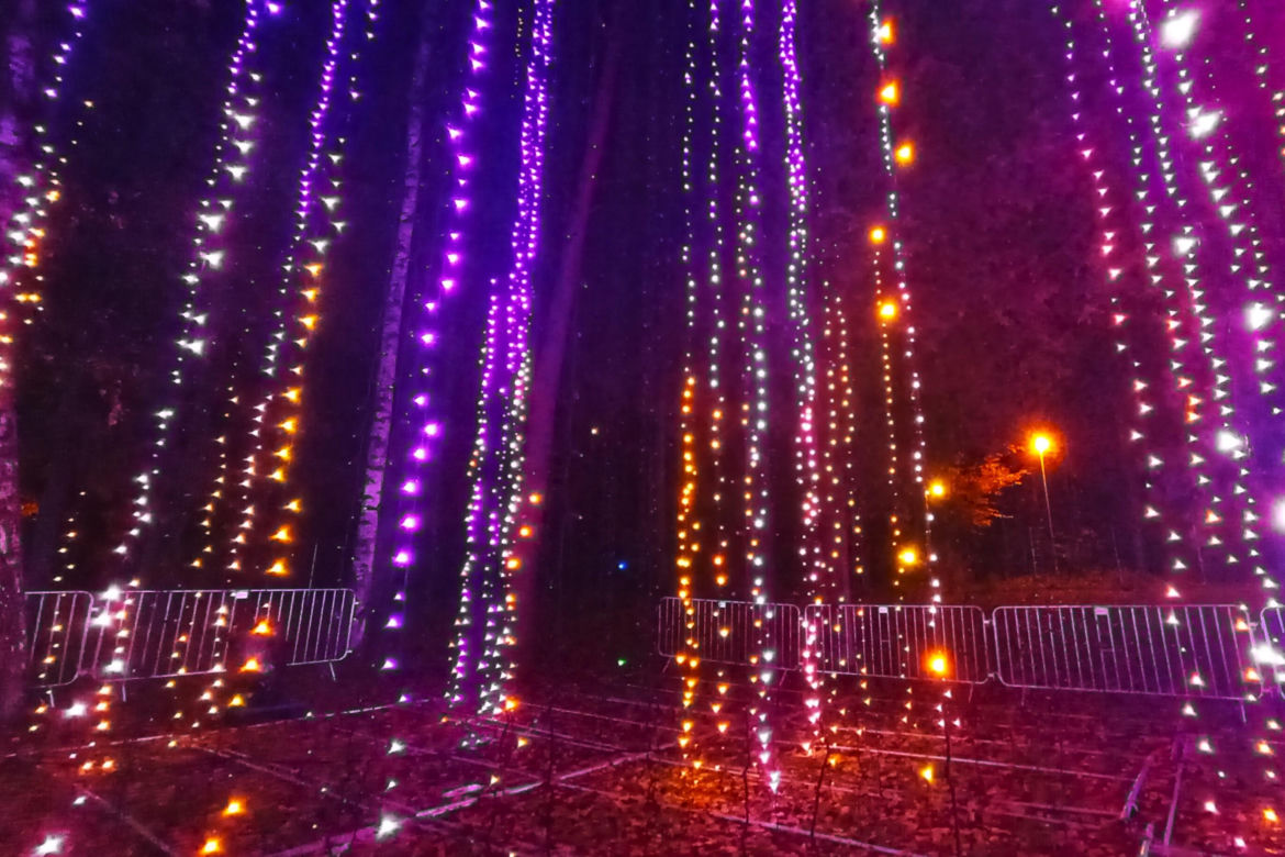 Garden of Lights w Szczecinie