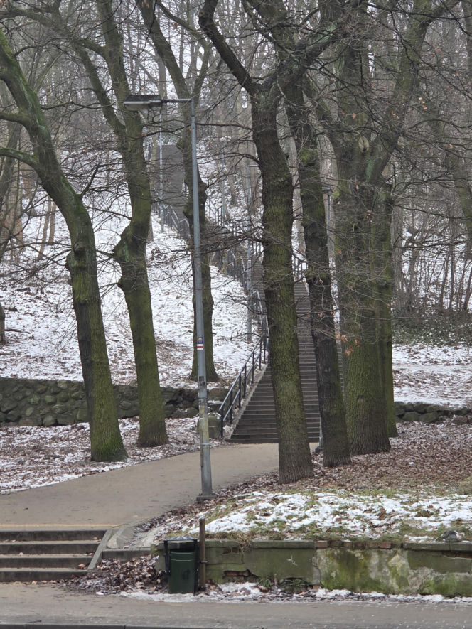 Schody do nieba w Bydgoszczy. Ponad 150 stopni, by dostać się na Wzgórze Wolności