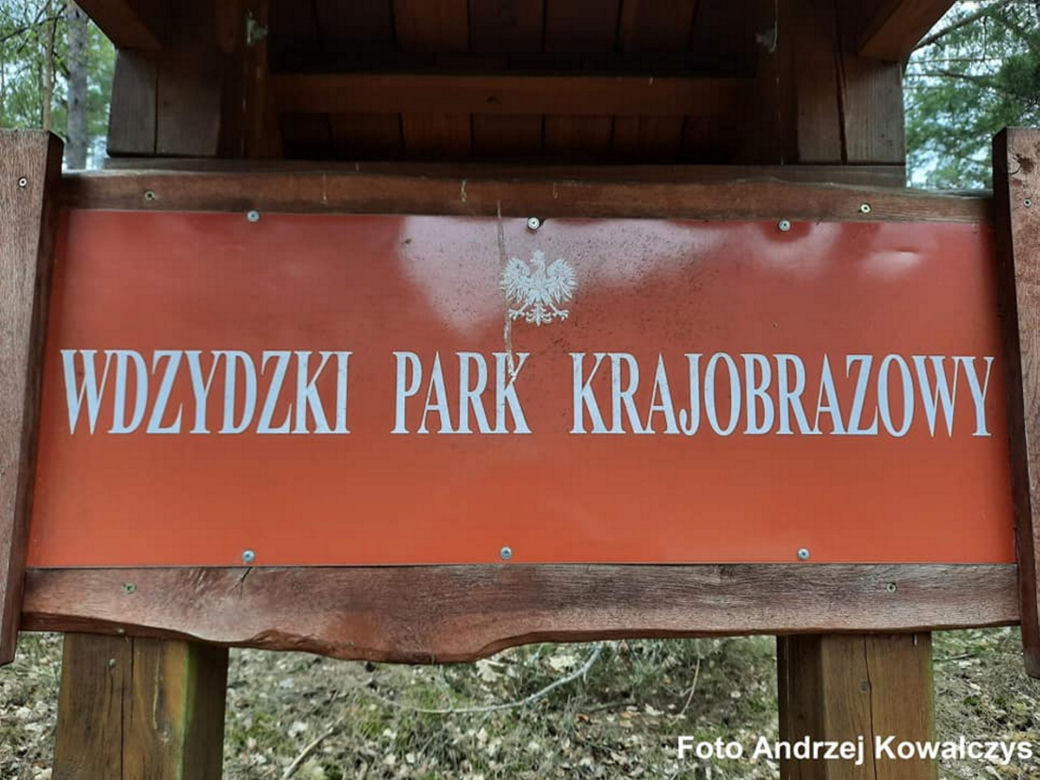 Jezioro Wielkie Oczko ogrodzone płotem. Zwierzęta odcięte od wody. Radny Gdańska: "Takiej dewastacji dawno nie widziałem"