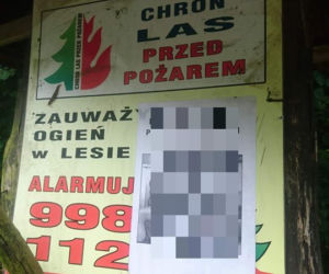 Demolka w nadleśnictwie! Gejowskie PORNO, penisy i HEJT na Trzaskowskiego! [ZDJĘCIA]