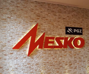 Generał patronem fabryki? Pomysł ludowców dla inwestycji w Kraśniku