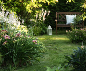 Jakich błędów unikać podczas urządzania ogrodu?