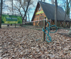 Rozbiórka Parku Linowego Tarzan w Parku Tysiąclecia w Lesznie